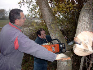 03dec04c.jpg