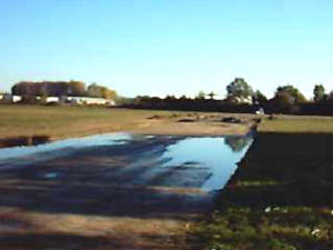 autnov04b.jpg